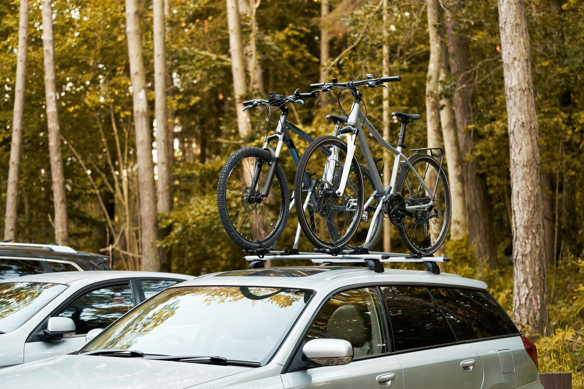 beste fietsendrager 3 fietsen
