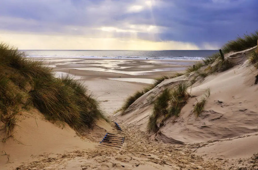 De 3 mooiste fietsroutes door Schoorl