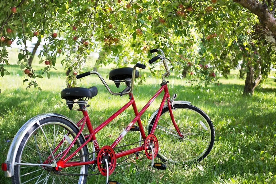 Tandem huren: 10 tips om goed te fietsen op een tandem