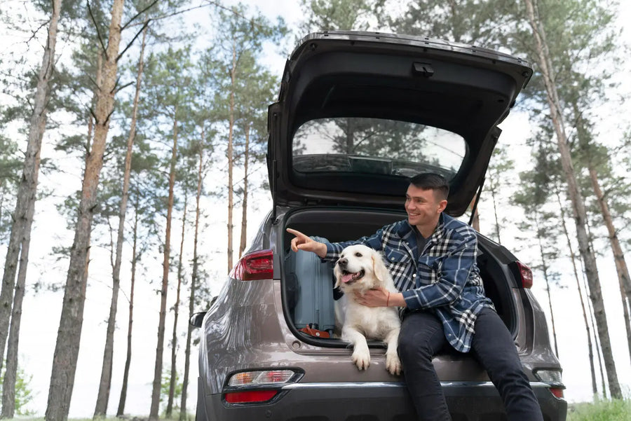 Wat is de Beste Hondendeken Auto? Bekijk hier de top 5!