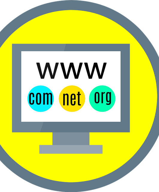Welke rol speelt de domeinkeuze bij online succes?