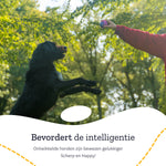 All 4 Pets Supply Honden Speelgoed - Geschikt voor Puppy’s tot Middelgrote Honden - 12 stuks