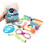 All 4 Pets Supply Honden Speelgoed - Geschikt voor Puppy’s tot Middelgrote Honden - 12 stuks