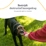All 4 Pets Supply Honden Speelgoed - Geschikt voor Puppy’s tot Middelgrote Honden - 12 stuks
