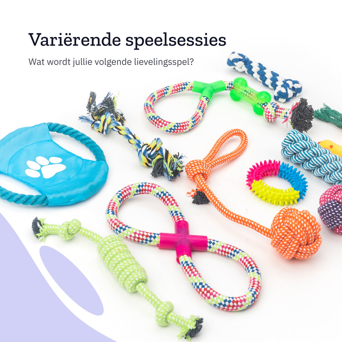All 4 Pets Supply Honden Speelgoed - Geschikt voor Puppy’s tot Middelgrote Honden - 12 stuks