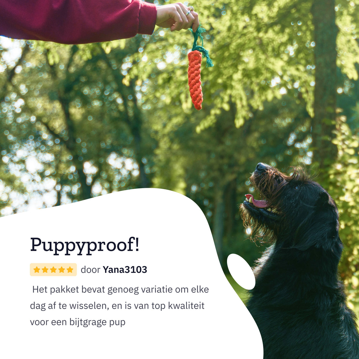 All 4 Pets Supply Honden Speelgoed - Geschikt voor Puppy’s tot Middelgrote Honden - 12 stuks