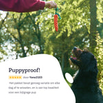 All 4 Pets Supply Honden Speelgoed - Geschikt voor Puppy’s tot Middelgrote Honden - 12 stuks