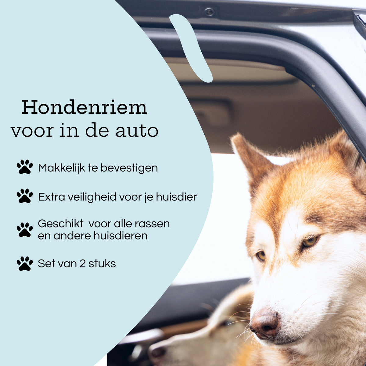 All 4 Pets Supply Hondengordel voor Auto - 2 stuks