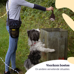 All 4 Pets Supply Hondenpoepzakjes 100% Biologisch Afbreekbaar - 320 stuks