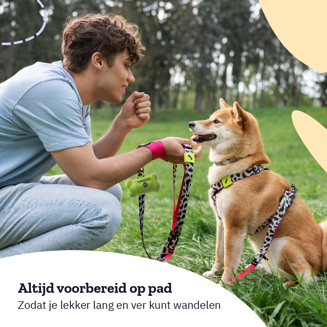 All 4 Pets Supply Hondenpoepzakjes houder - Dispenser - Poepzakjeshouder - Groen