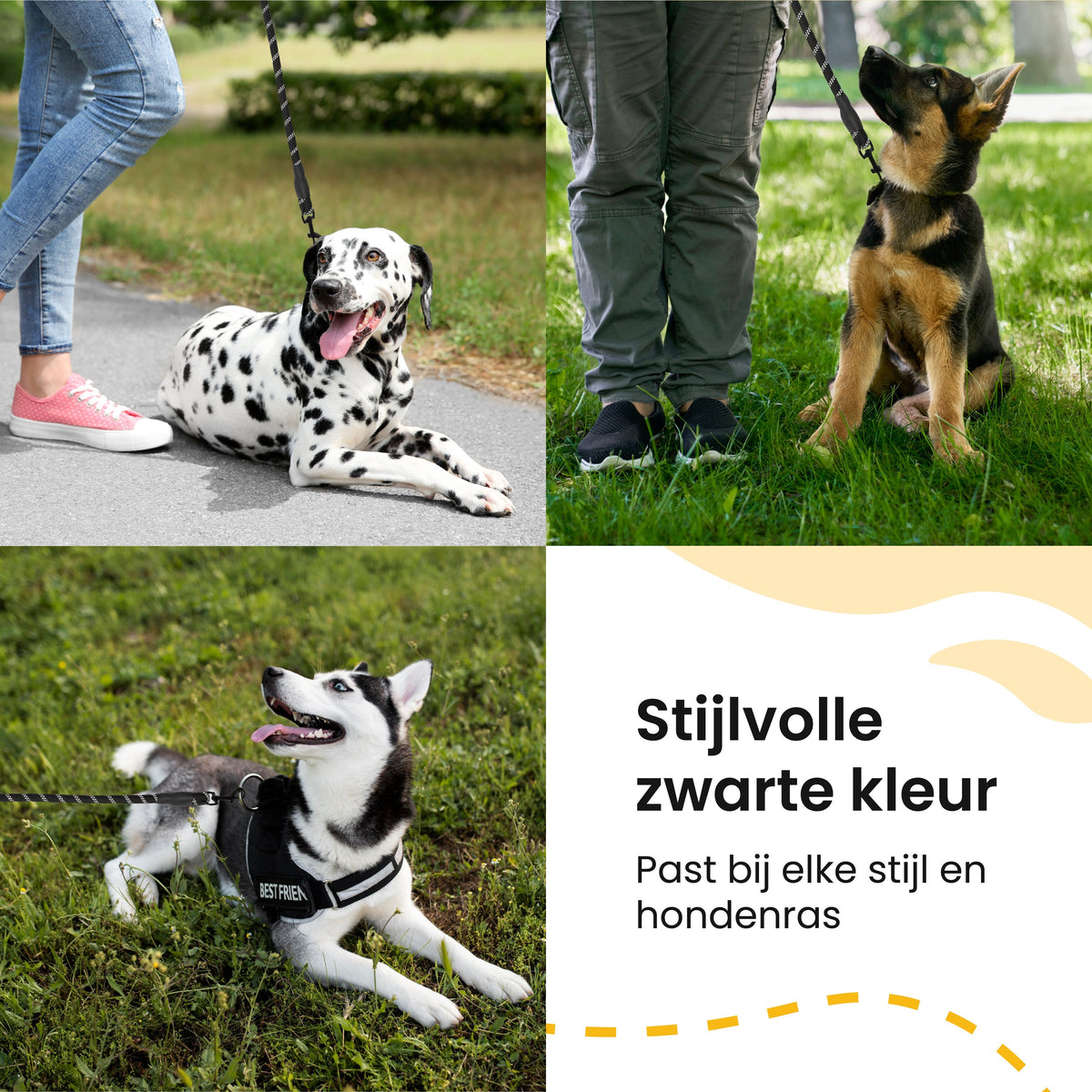 All 4 Pets Supply Reflecterende Hondenriem - 1,5 meter - Zwart