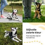 All 4 Pets Supply Reflecterende Hondenriem - 1,5 meter - Zwart