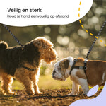 All 4 Pets Supply Reflecterende Hondenriem - 2 meter - Zwart