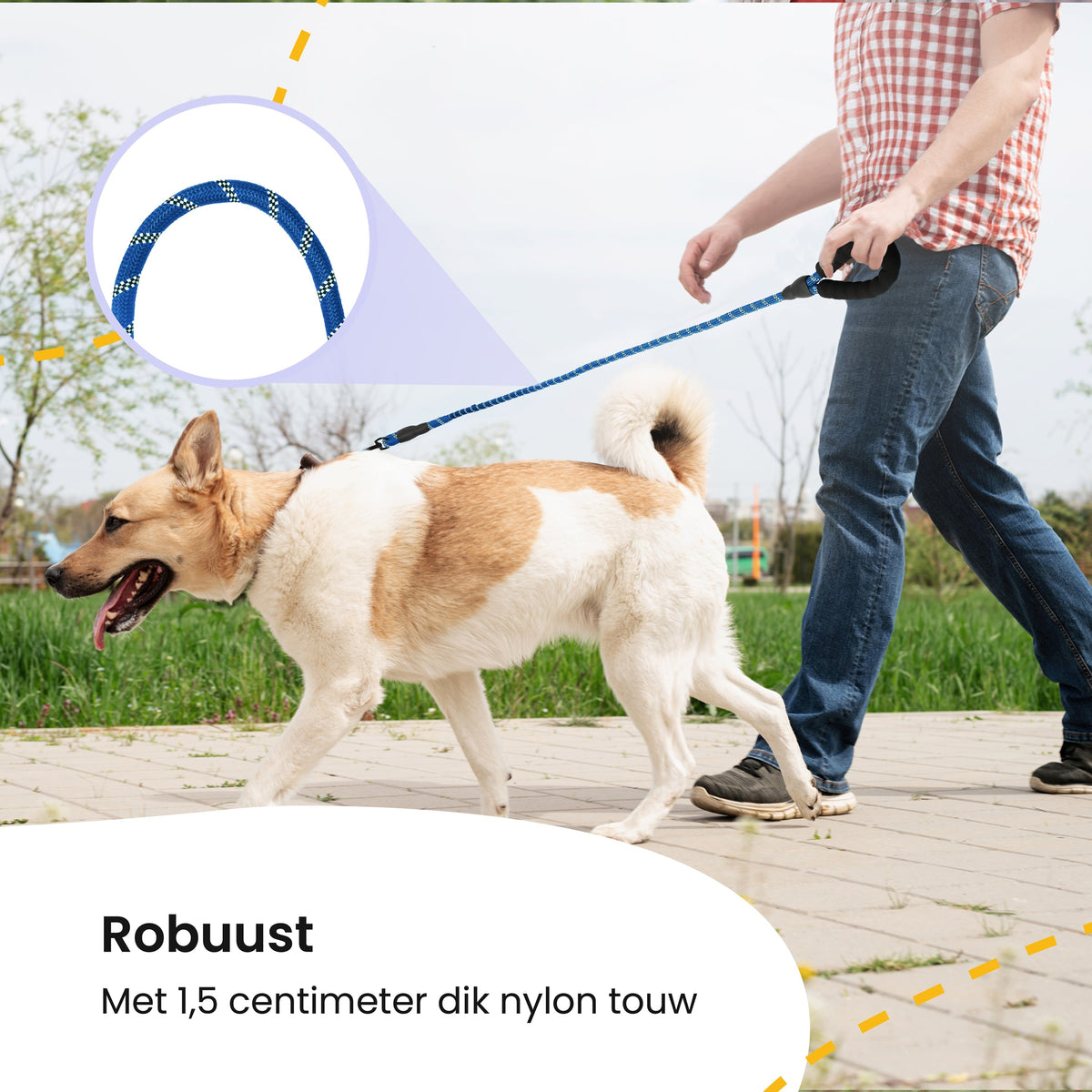 All 4 Pets Supply Reflecterende Hondenriem - 3 meter - Blauw