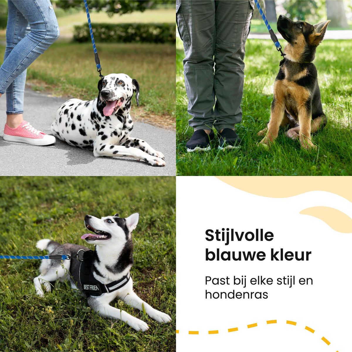 All 4 Pets Supply Reflecterende Hondenriem - 3 meter - Blauw