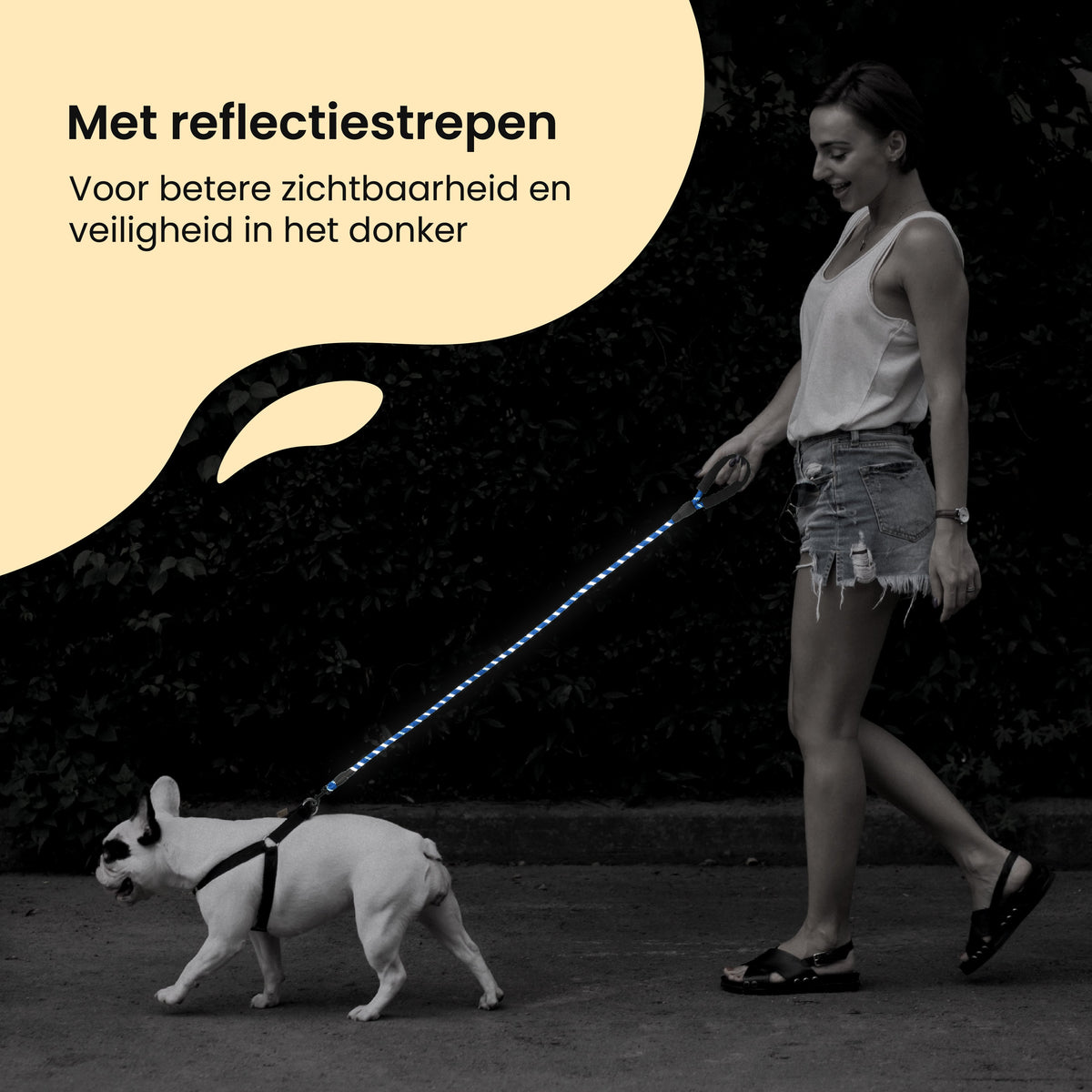 All 4 Pets Supply Reflecterende Hondenriem - 3 meter - Blauw