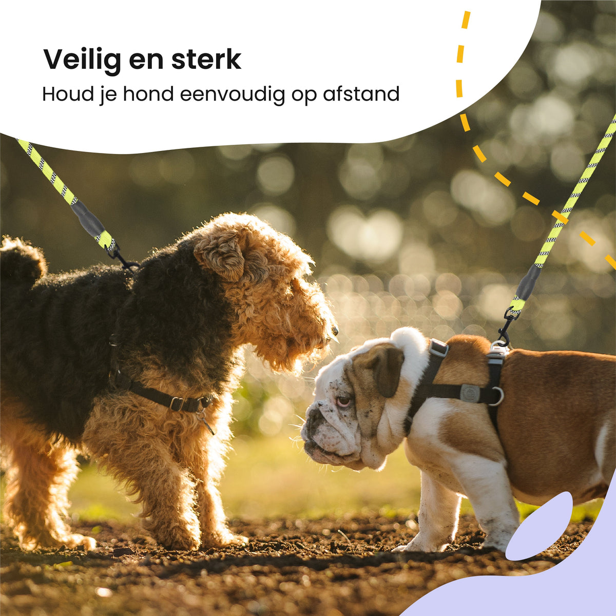 All 4 Pets Supply Reflecterende Hondenriem - 3 meter - Geel