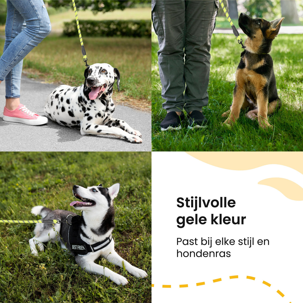 All 4 Pets Supply Reflecterende Hondenriem - 3 meter - Geel