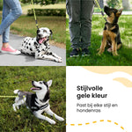 All 4 Pets Supply Reflecterende Hondenriem - 3 meter - Geel