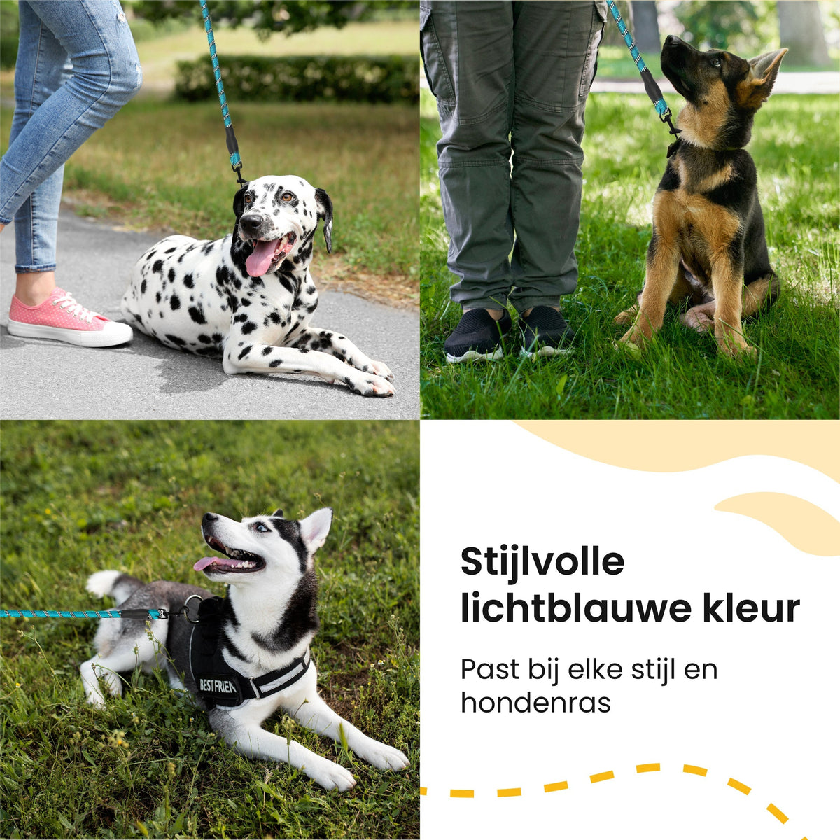 All 4 Pets Supply Reflecterende Hondenriem - 3 meter - NeonBlauw