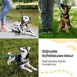 All 4 Pets Supply Reflecterende Hondenriem - 3 meter - NeonBlauw