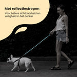 All 4 Pets Supply Reflecterende Hondenriem - 3 meter - NeonBlauw