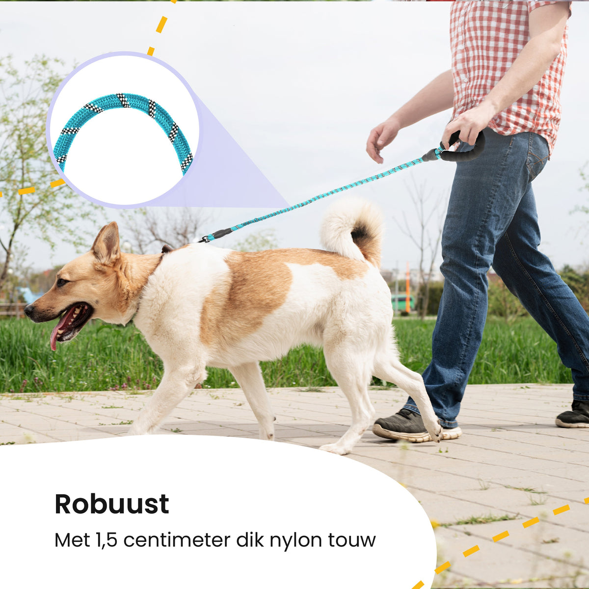 All 4 Pets Supply Reflecterende Hondenriem - 3 meter - NeonBlauw