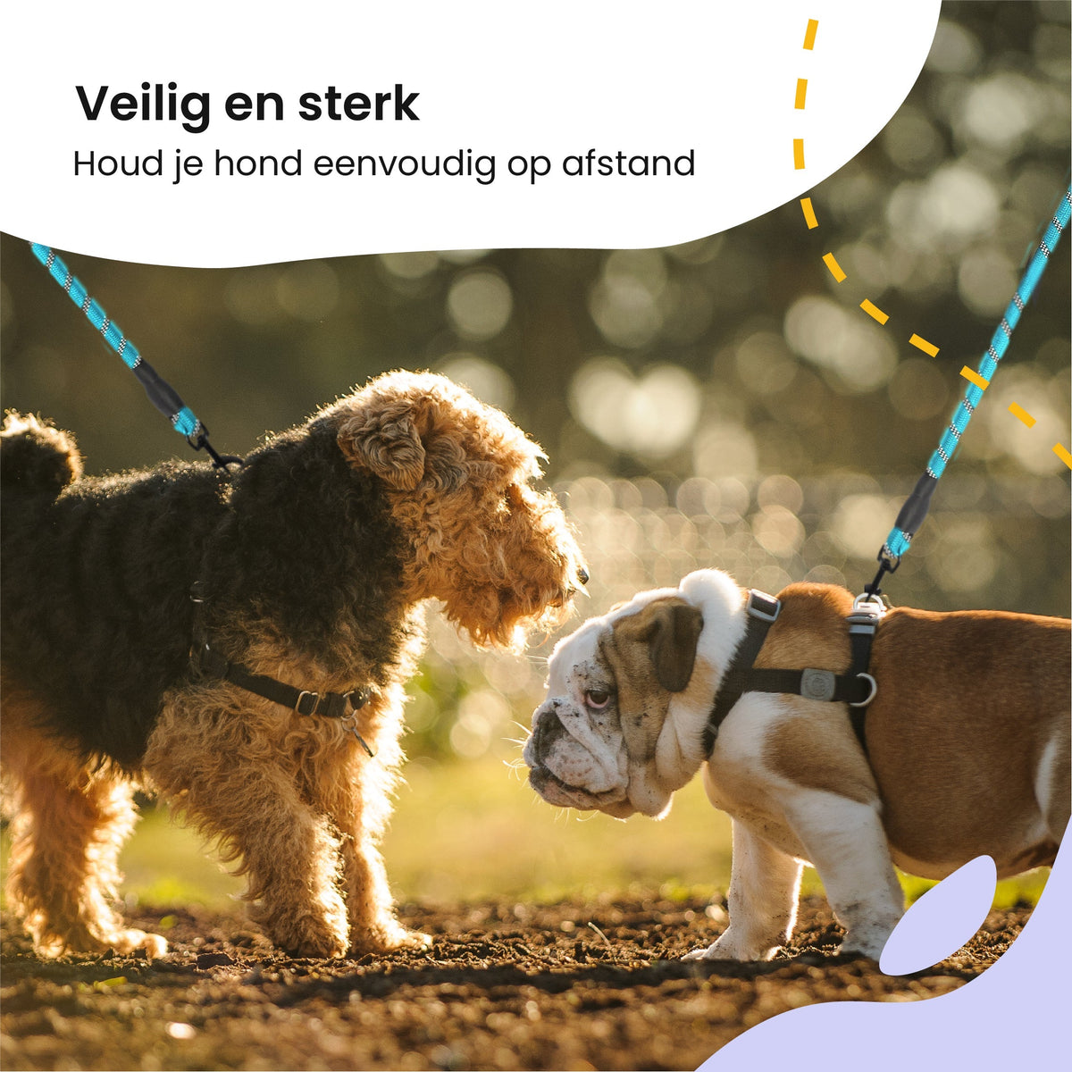 All 4 Pets Supply Reflecterende Hondenriem - 3 meter - NeonBlauw
