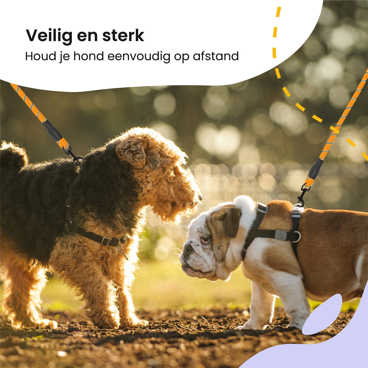 All 4 Pets Supply Reflecterende Hondenriem - 3 meter - Oranje
