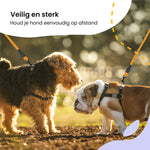 All 4 Pets Supply Reflecterende Hondenriem - 3 meter - Oranje