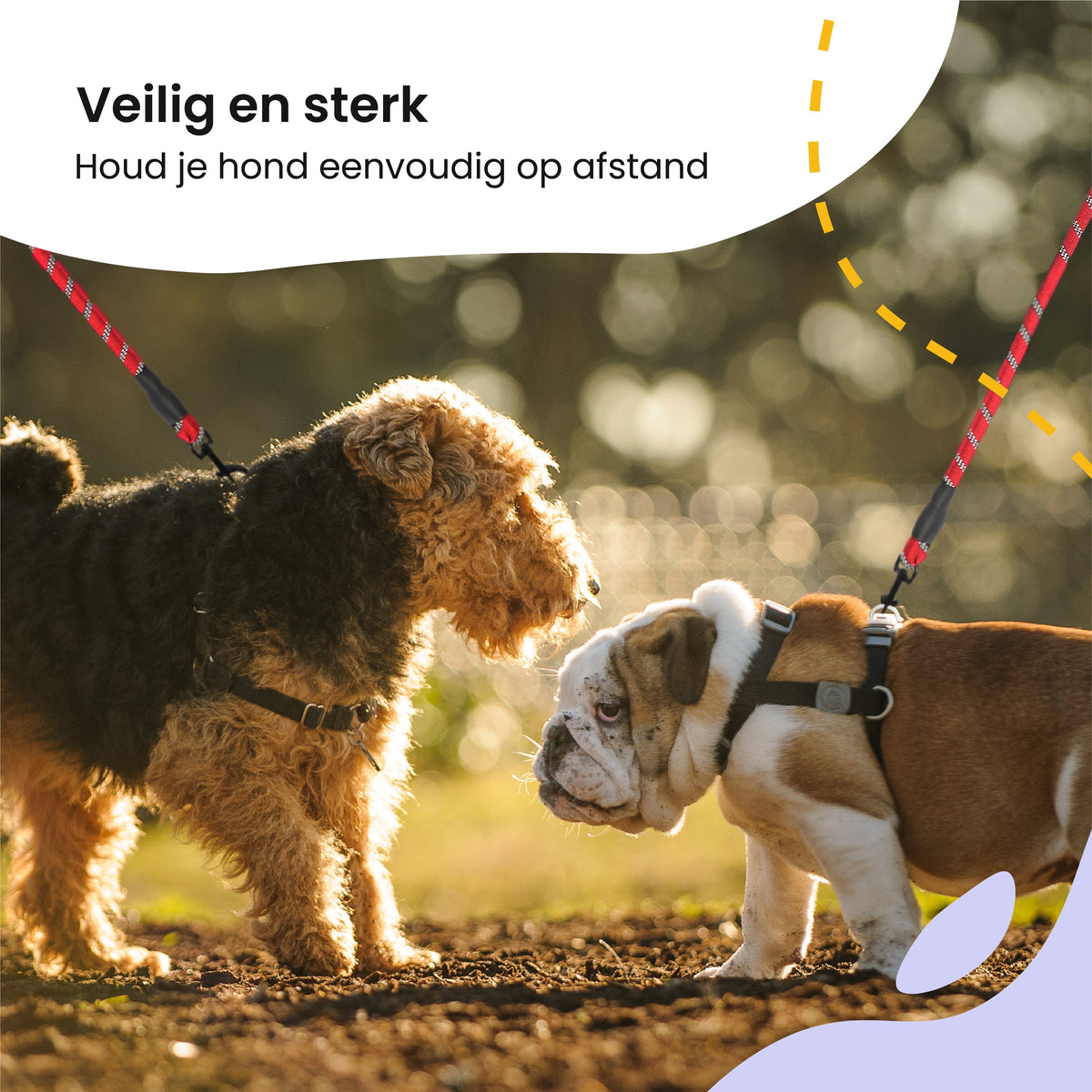 All 4 Pets Supply Reflecterende Hondenriem - 3 meter - Rood