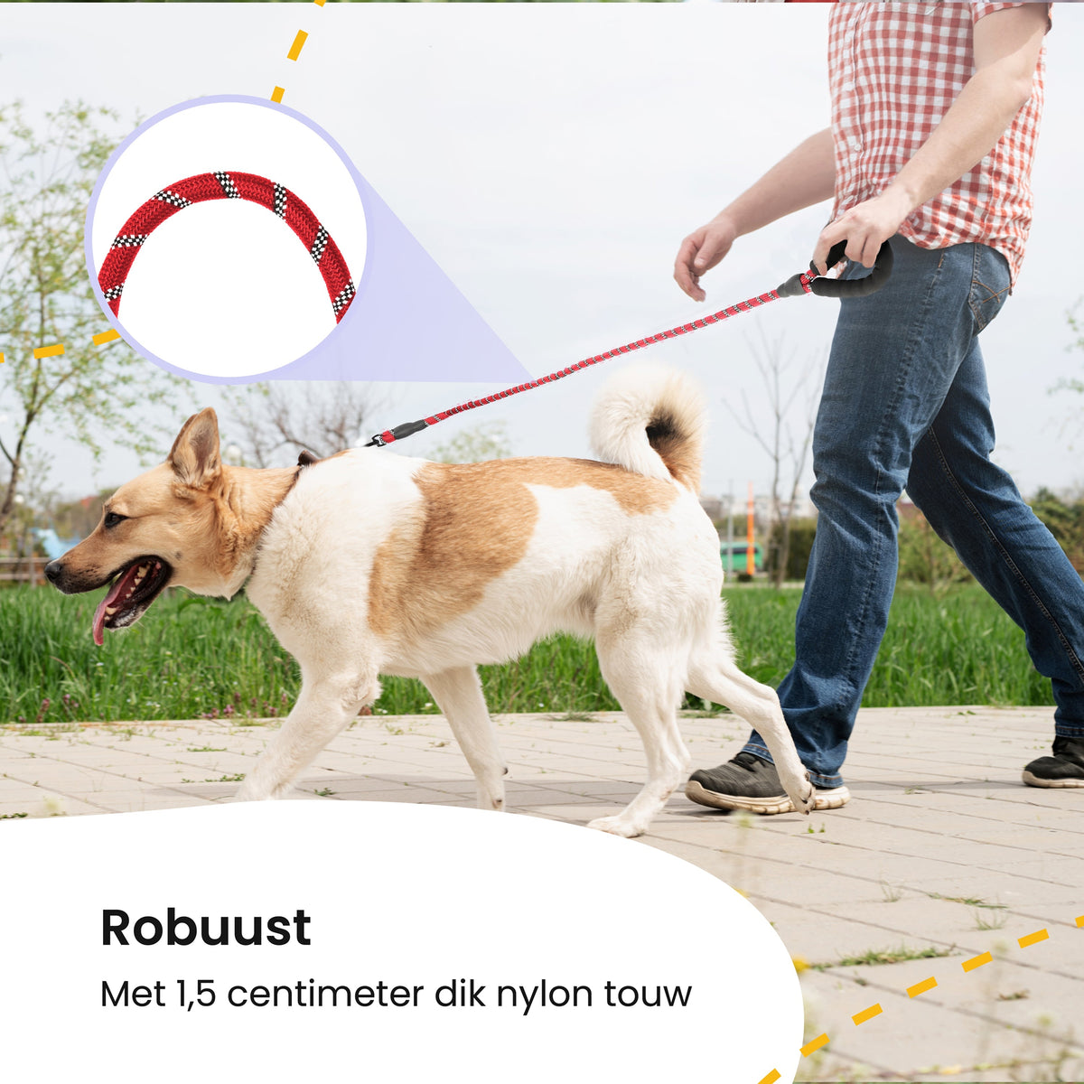 All 4 Pets Supply Reflecterende Hondenriem - 3 meter - Rood