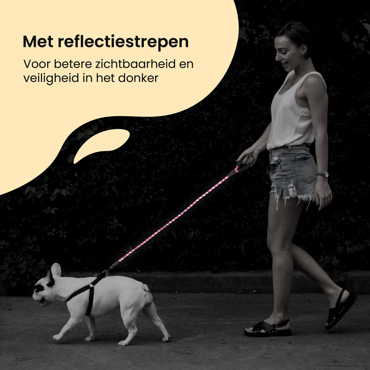 All 4 Pets Supply Reflecterende Hondenriem - 3 meter - Roze