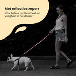 All 4 Pets Supply Reflecterende Hondenriem - 3 meter - Roze
