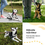 All 4 Pets Supply Reflecterende Hondenriem - 3 meter - Roze
