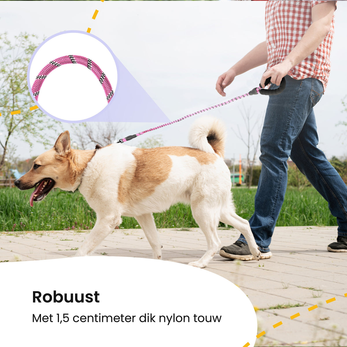All 4 Pets Supply Reflecterende Hondenriem - 3 meter - Roze