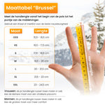 R2B Handschoenen Winter - Water- en winddicht - Touchscreen - Wintersport - Dames & Heren