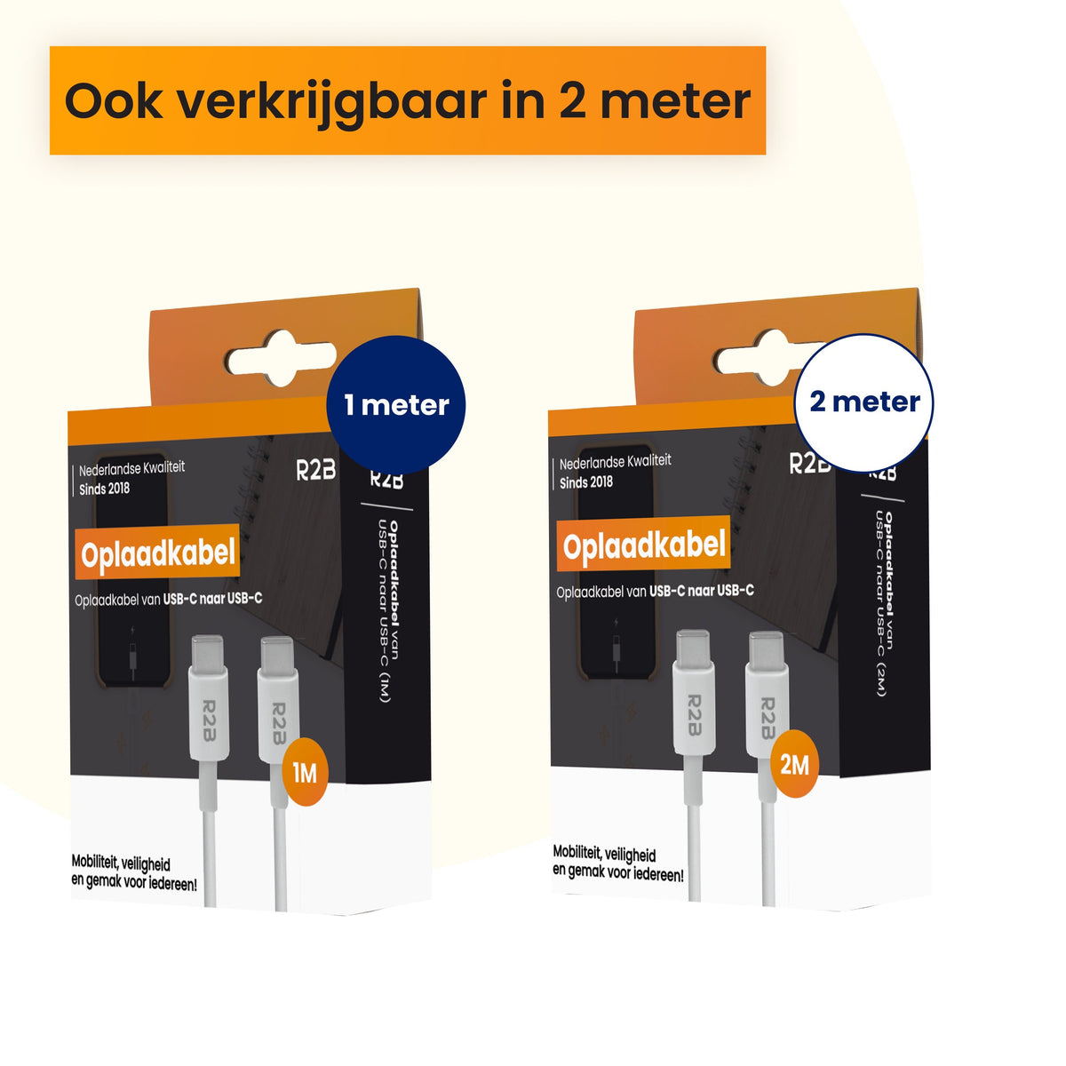 R2B USB-C naar USB-C Kabel - 1 Meter - Snelladen